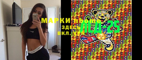 прущая мука Арсеньев