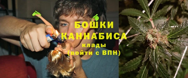 прущая мука Арсеньев